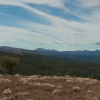 Wilpena pound desde Red Hill