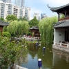 Chinese Garden