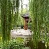 Chinese Garden