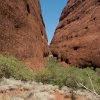 Walpa Gorge