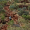 Subiendo a King's Canyon