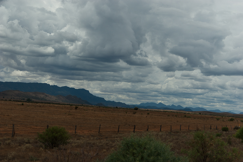 Flinders Ranges National Park